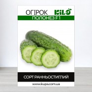 Насіння огірка Полонез F1, самозапильних, 100г